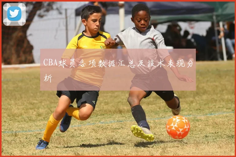 CBA球员各项数据汇总及技术表现分析