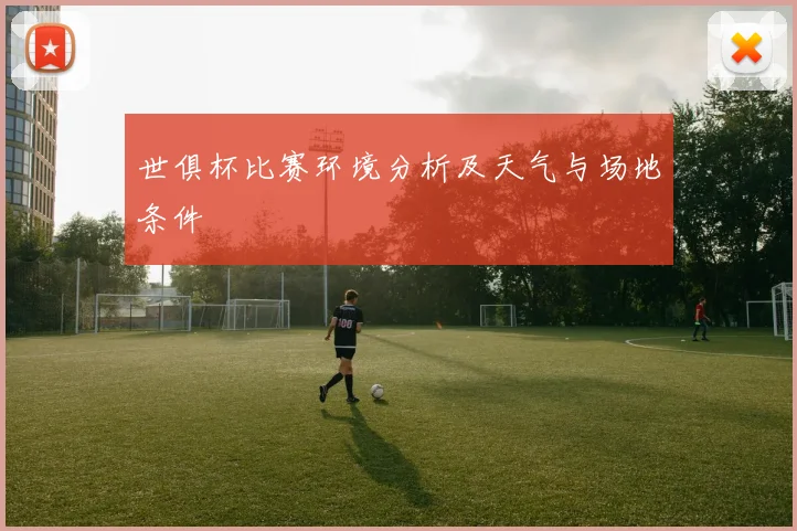 世俱杯比赛环境分析及天气与场地条件