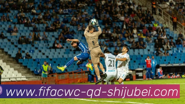 世界杯直播平台生态图