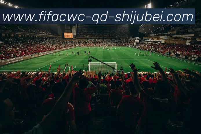 世界杯直播APP 封面图